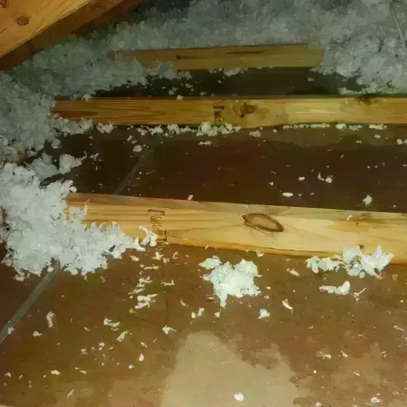 Attic Water Damage in Maunabo Municipio, PR